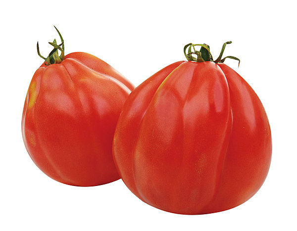 Une envie de potager bio avec les tomates AB, Truffaut