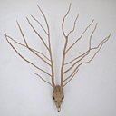 N°2 Capreolus capreolus & Juniperus communis