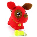 Au Pied Médor, pas besoin de le sortir !