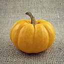 Le potiron, des idées de recettes.