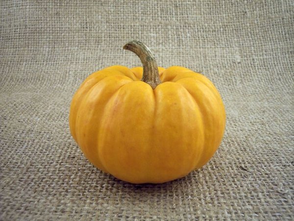 Le potiron, des idées de recettes.