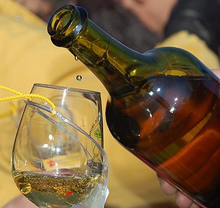 Un seul et unique cépage: le Savignin