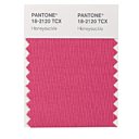 Rose foncé tirant vers le rouge plein de vigueur, le Pantone 18-2120, Honeysuckle, rose foncé chèvrefeuille,  encourage et réchauffe le cœur