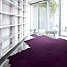 La deuxième vie de la moquette