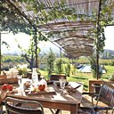 La treille menant à la piscine La treille menant à la piscine