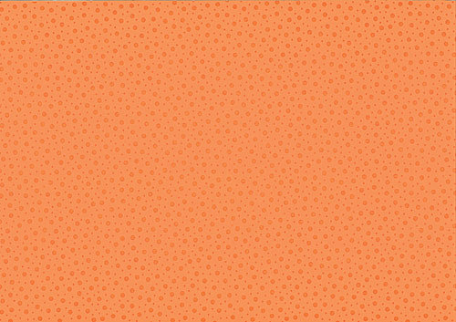AS Création : Collection Life. Expansé sur intissé. 10,05 x 0,53 m  - 26 € (chicissime