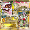 Suite imaginée d'Emma Bovary