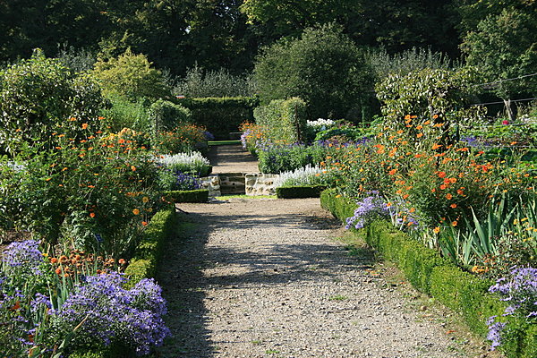 Allées du jardin sous la lumière d'automne