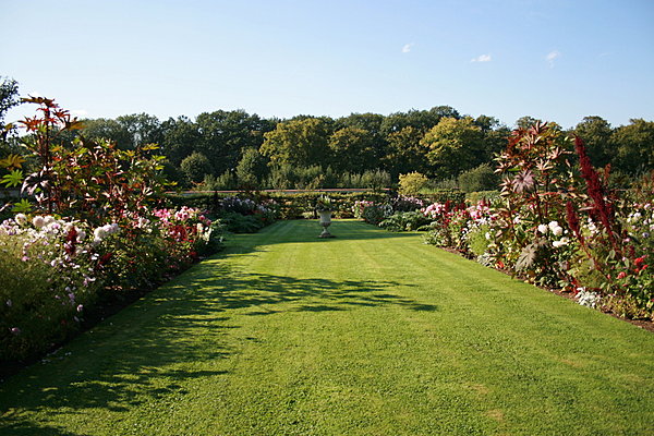 Les 4 carrés bordés de rosiers