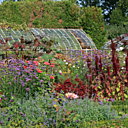 Les grandes serres en été