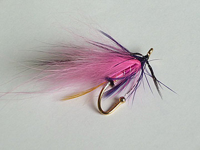 Mouche de Bruno PIMPANINI