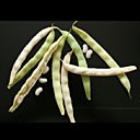 Haricots de choix pour les amoureux d’une cuisine traditionnelle