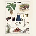 Tout savoir sur le sucre !