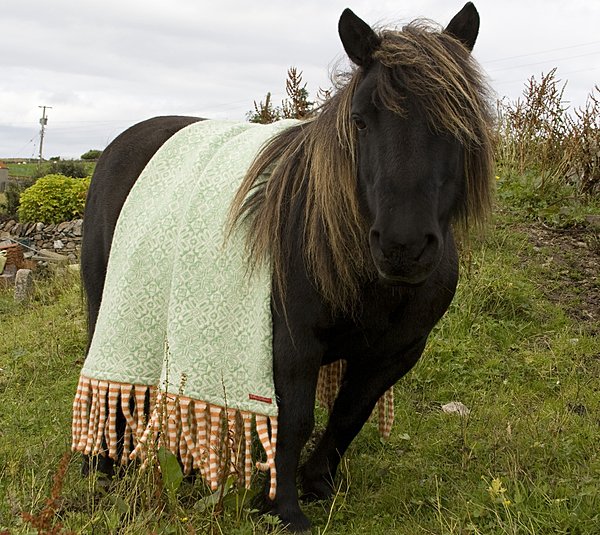 Couverture à franges rayées