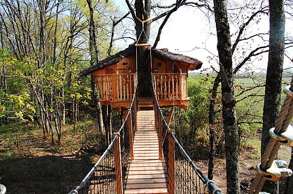 Pour un week-end retour à la nature perché dans les arbres