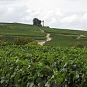 L’œnotourisme permet partir à la découverte des régions viticoles