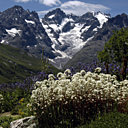 Extérieur et intérieur seront à l'honneur dans une belle harmonie