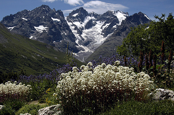 Extérieur et intérieur seront à l'honneur dans une belle harmonie
