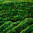 Gros plan sur les jardins de Le Nôtre revus par Cinzia Pasquali