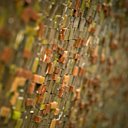 Une mosaïque qui capte l’attention de l’automobiliste