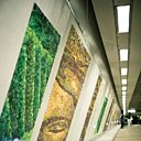 Un calcul mathématique permet à l’œil de reconstituer l’image originale