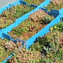 Les ridelles assurent la protection des plantes durant le transport