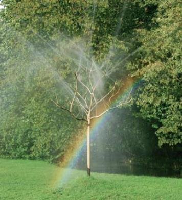 Jeux d'eau pour un spectacle sans cesse changeant