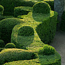 Méandres des haies sinueuses