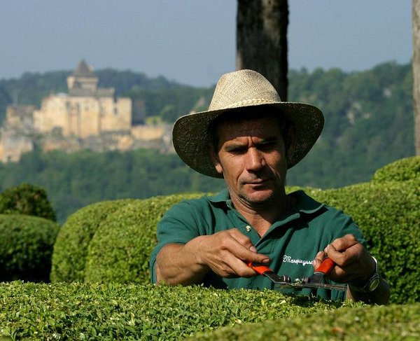A longueur d'année, les jardiniers taillent les buis
