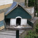 A l’arrivée de l’automne, videz le nichoir des éléments hétéroclites apportés par les oiseaux pour faire leur nid, et nettoyez-le, avant de le recouvrir d’une couche d’huile de lin pour le protéger