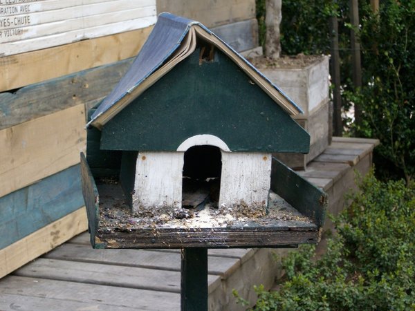 A l’arrivée de l’automne, videz le nichoir des éléments hétéroclites apportés par les oiseaux pour faire leur nid, et nettoyez-le, avant de le recouvrir d’une couche d’huile de lin pour le protéger