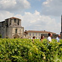Promenade dans les vignes à Saint-Emilion