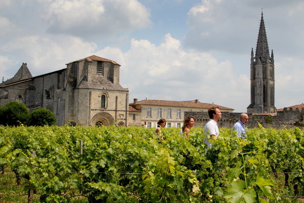 Promenade dans les vignes à Saint-Emilion