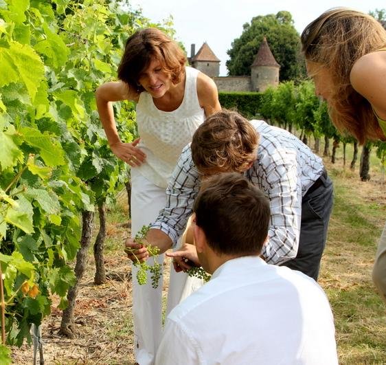 Découvrez les plus grands crus comme les authentiques propriétés familiales