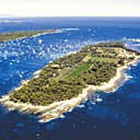 8 hectares de vignoble en face de Cannes