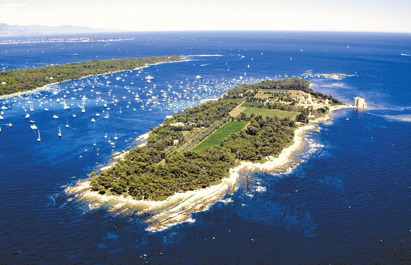 8 hectares de vignoble en face de Cannes