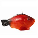 Pour une jolie table,le poisson bougie, Point à la Ligne