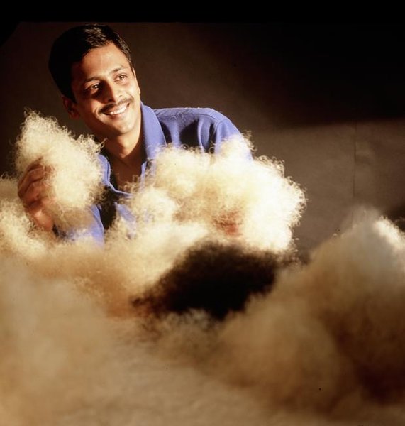 Tous les matériaux utilisés par Savoir Beds sont naturels