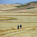 Les chemins de Saint-Jacques du Puy-en-Velay à Compostelle