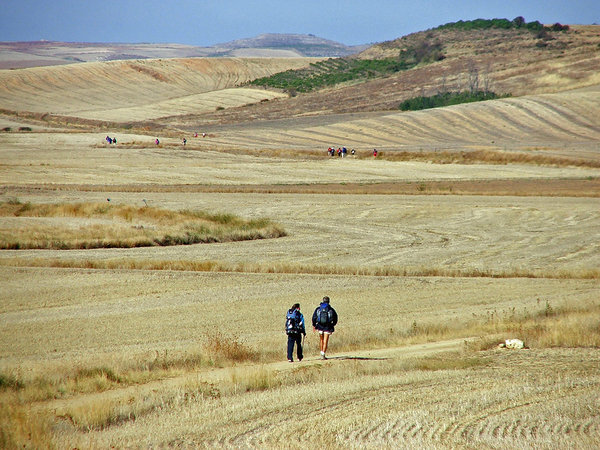 Les chemins de Saint-Jacques du Puy-en-Velay à Compostelle