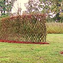 Paillage d'écorce pour haies d'osier tressé