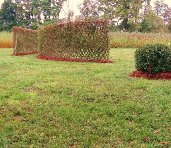 Paillage d'écorce pour haies d'osier tressé