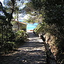 Descente vers la faune aquatique