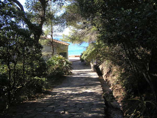 Descente vers la faune aquatique