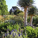 Le jardin tropical domine la mer