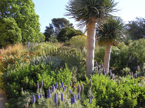 Le jardin tropical domine la mer