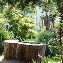 Le tronc transformé en banc