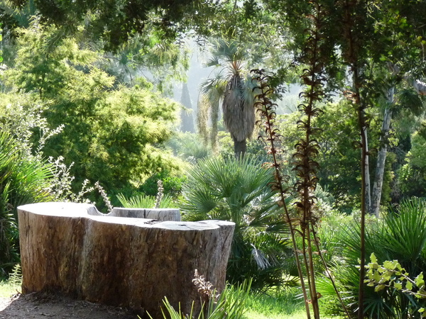 Le tronc transformé en banc