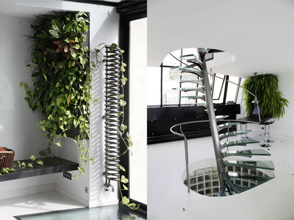 Les murs végétaux permettent de purifier l’air ambiant