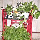 la jardinière terminée